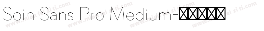 Soin Sans Pro Medium字体转换